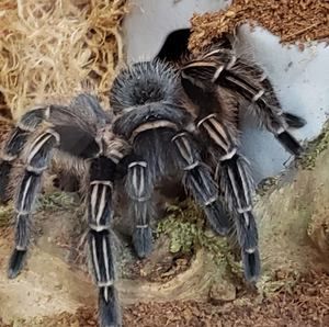 Meet your Posher, Mary